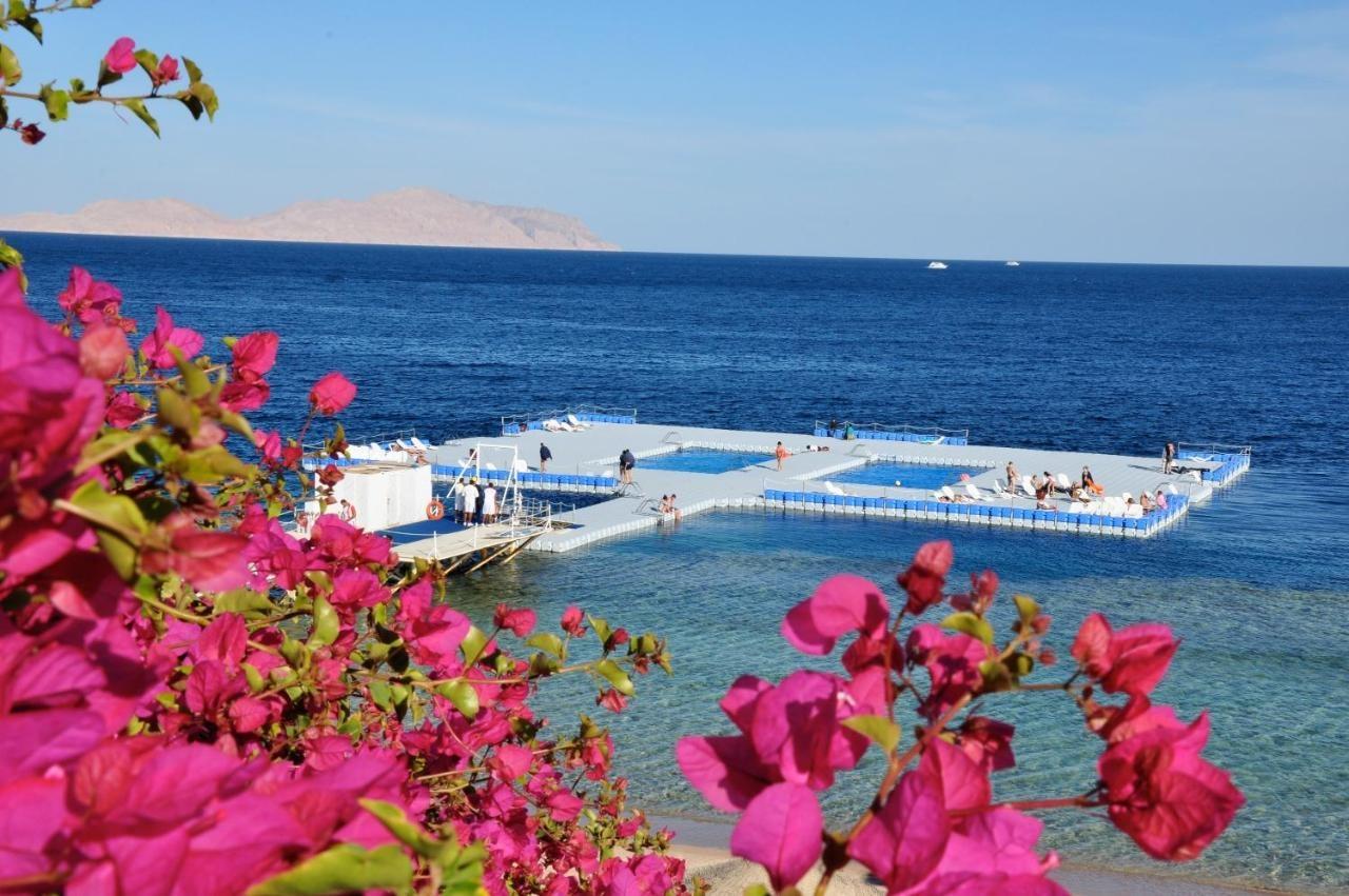 Private One Bedroom Domina Coral Bay Σαρμ Ελ Σέιχ Εξωτερικό φωτογραφία